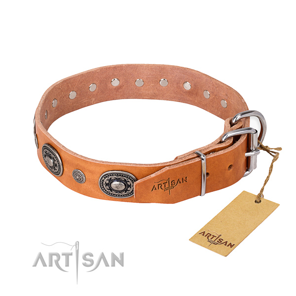 Awesome leather collar for your stunning dog