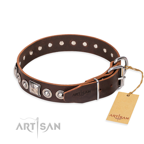 Stylish leather collar for your favourite pet