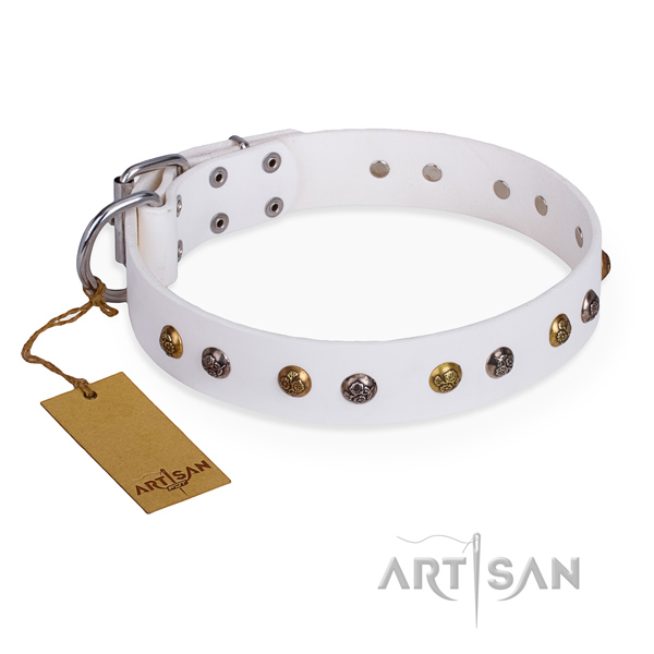 Trendy design adornments on full grain leather dog collar
