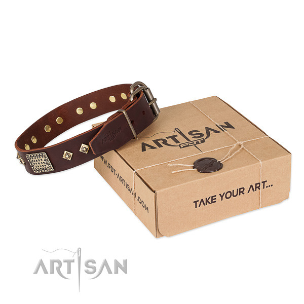 Top notch leather dog collar for walking in style