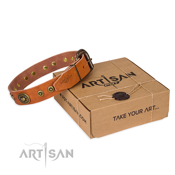 Top quality full grain genuine leather dog collar for stylish walking