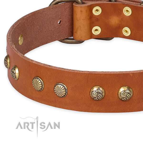 Snugly fitted leather dog collar with almost unbreakable brass plated set of hardware