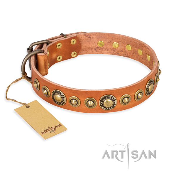 Dependable leather dog collar with riveted hardware