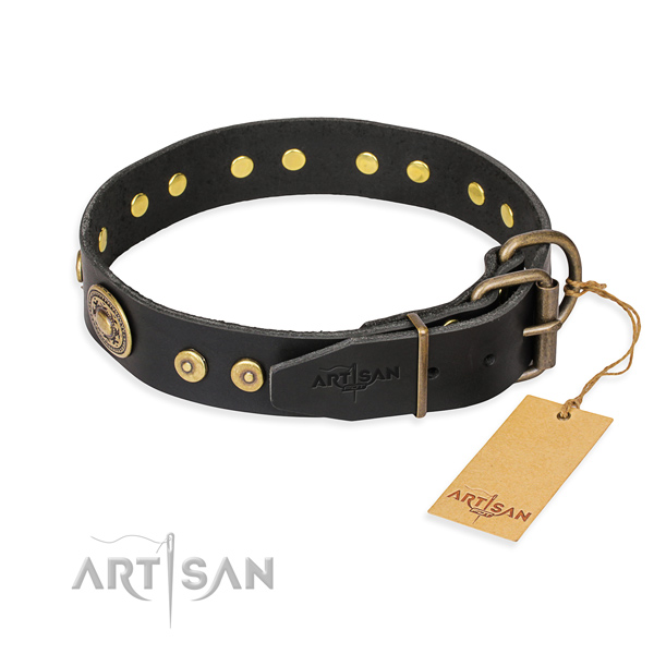 Fashionable leather collar for your stunning four-legged friend