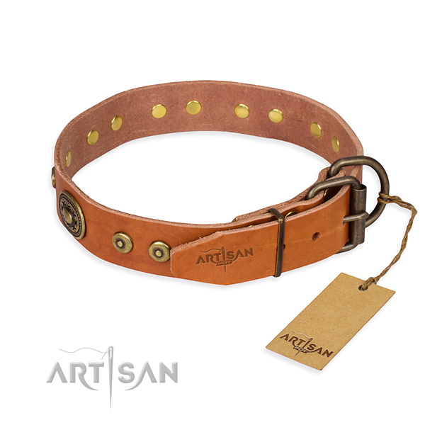 Daily leather collar for your elegant pet