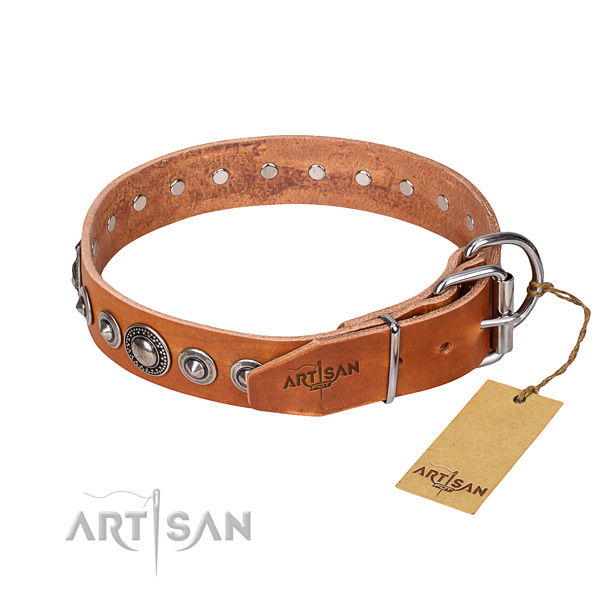 Fashionable leather collar for your elegant canine
