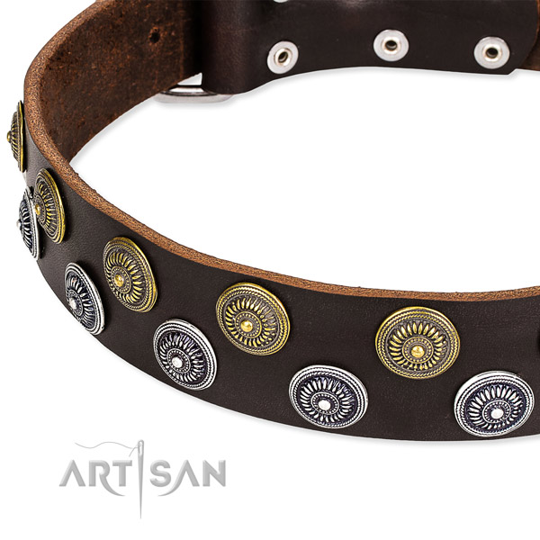 Snugly fitted leather dog collar with resistant to tear and wear non-rusting buckle