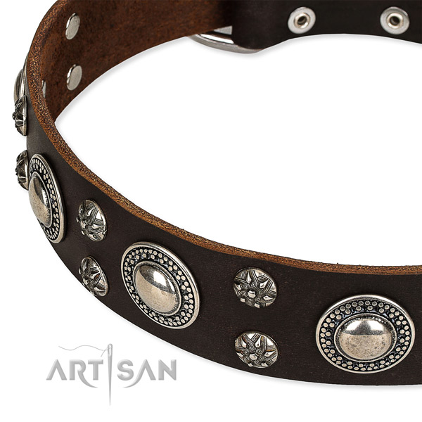 Easy to adjust leather dog collar with almost unbreakable non-rusting buckle and D-ring
