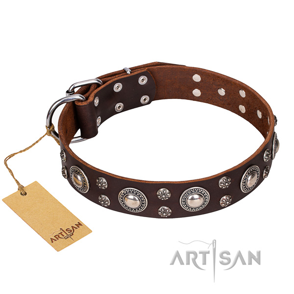 Long-lasting leather dog collar with brass plated hardware