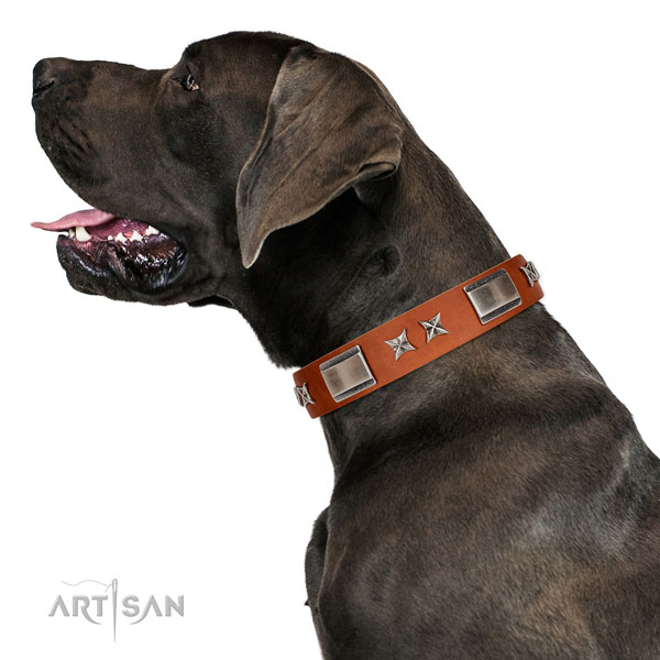 Easy wearing high quality genuine leather dog collar with adornments