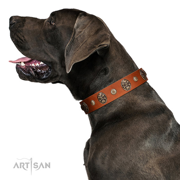 Full grain leather dog collar with inimitable adornments