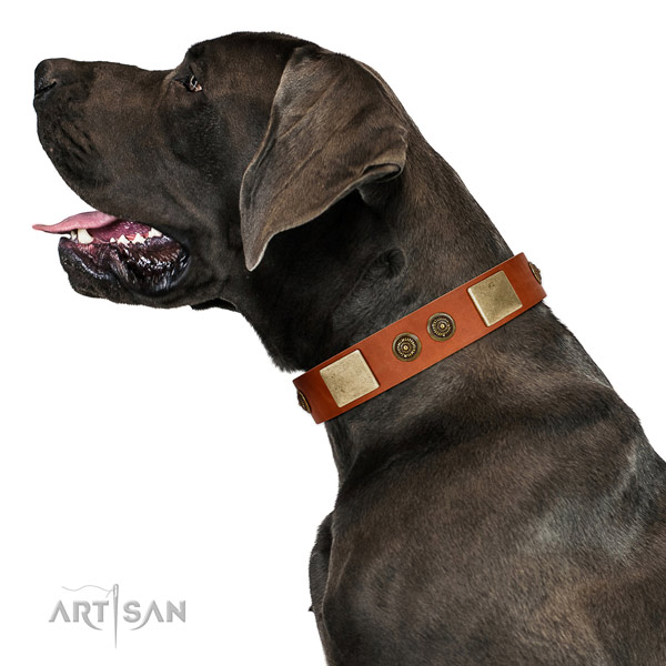 Easy wearing dog collar handmade for your beautiful doggie