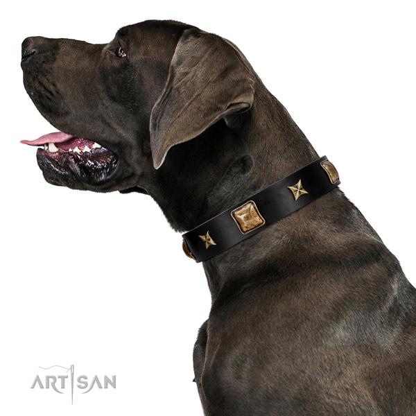Easy wearing dog collar handcrafted for your handsome dog