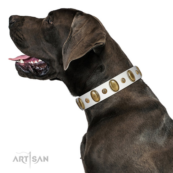 Handmade leather dog collar with rust resistant fittings