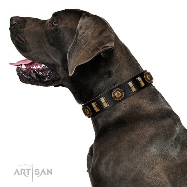 Gentle to touch full grain natural leather dog collar with durable traditional buckle