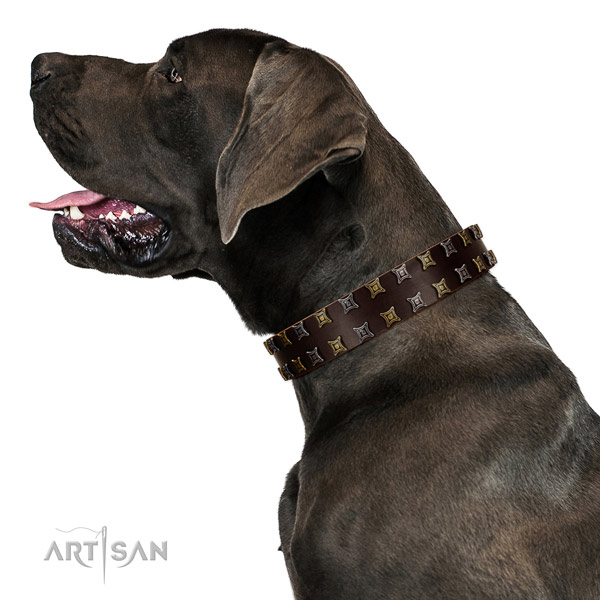 High quality genuine leather dog collar with decorations for your four-legged friend