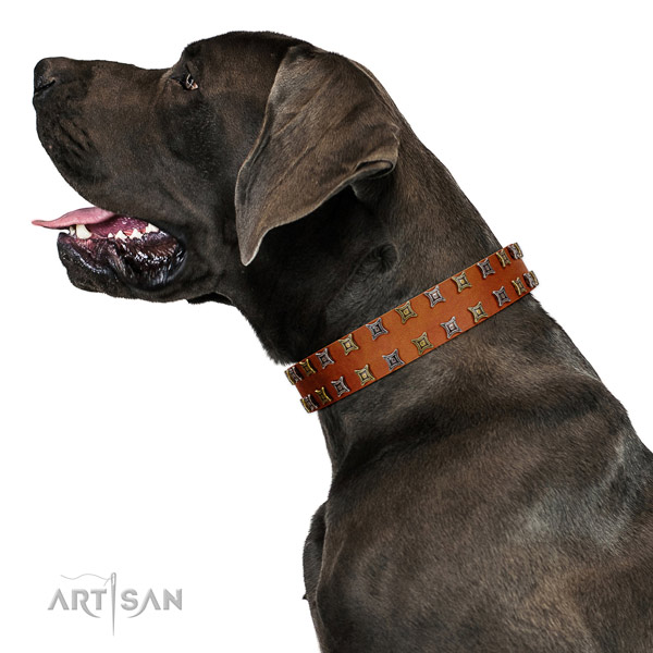 Reliable full grain genuine leather dog collar with studs for your four-legged friend