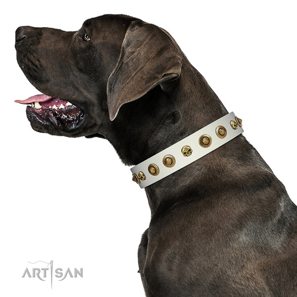 Strong full grain genuine leather dog collar with decorations for your pet