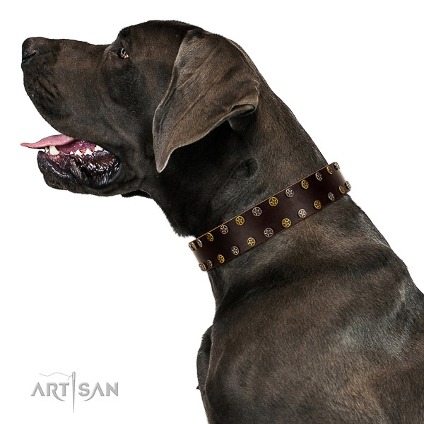 Everyday walking full grain natural leather dog collar with adornments