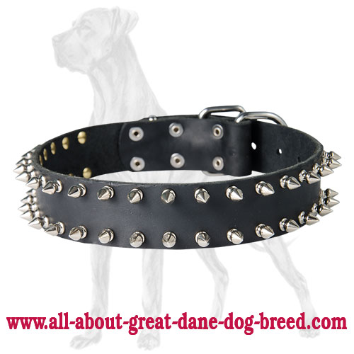 Black Leather Dog Collar and Leash Set - SUPERSTAR