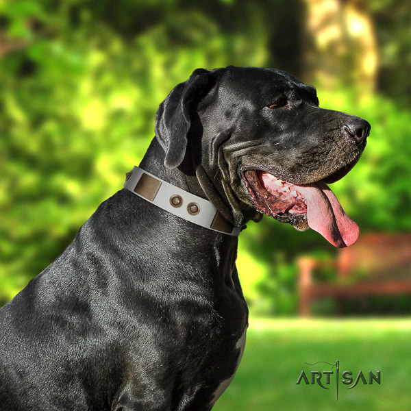 Great Dane everyday use natural leather collar with embellishments for your four-legged friend