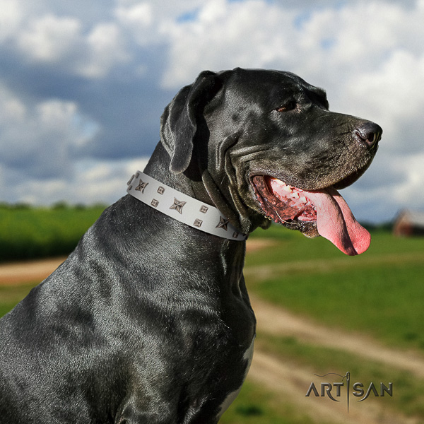 Great Dane everyday walking full grain leather collar with decorations for your canine