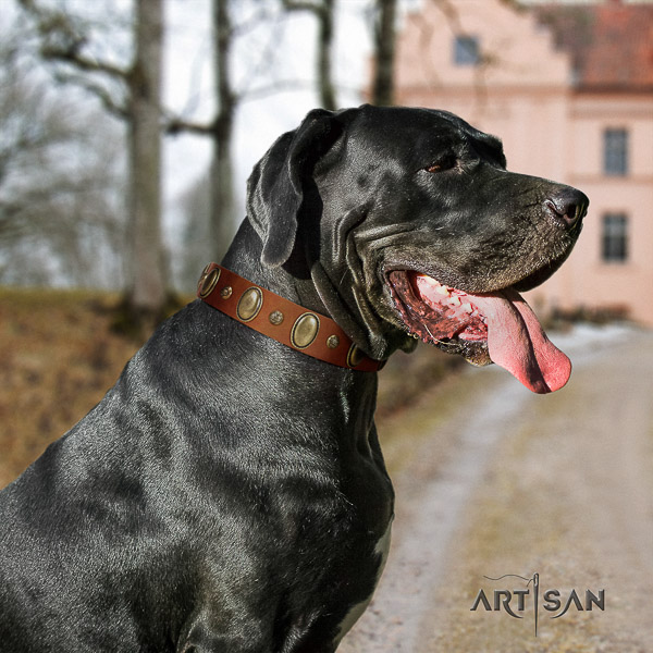 Great Dane easy wearing genuine leather collar with decorations for your dog