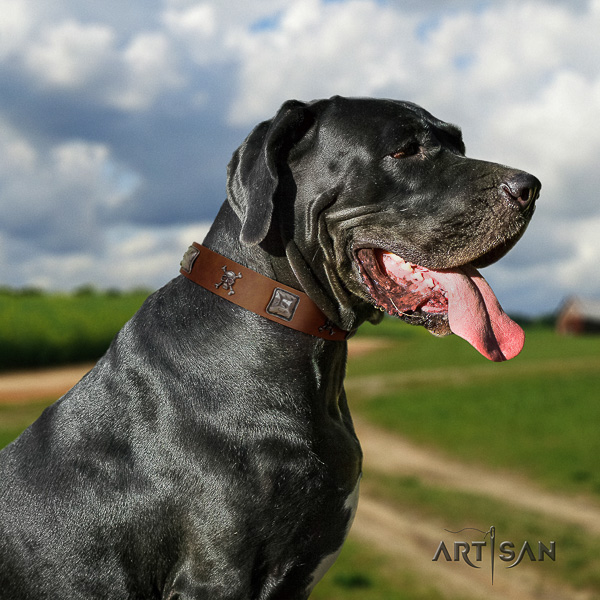 Great Dane fancy walking genuine leather collar with decorations for your canine