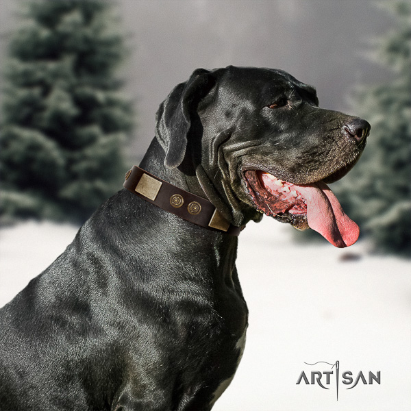 Great Dane handy use full grain natural leather collar with embellishments for your dog