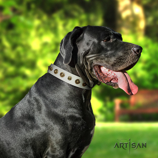 Great Dane handy use leather collar with embellishments for your pet
