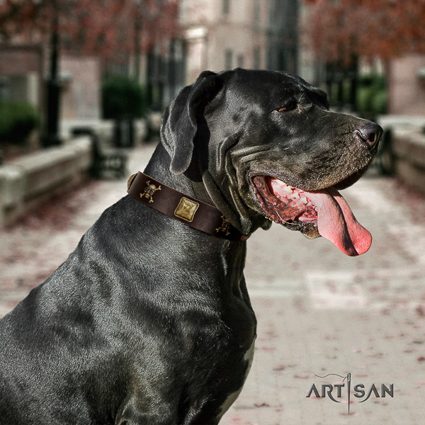 Great Dane daily walking full grain natural leather collar with adornments for your dog