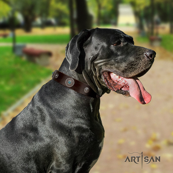 Great Dane handy use full grain natural leather collar with adornments for your pet