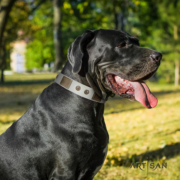 Great Dane everyday walking natural leather collar for your lovely pet