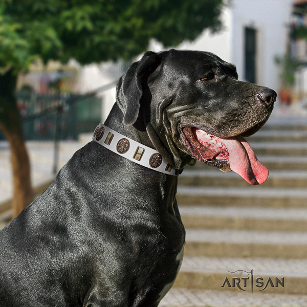 Great Dane easy wearing full grain leather collar with decorations for your dog