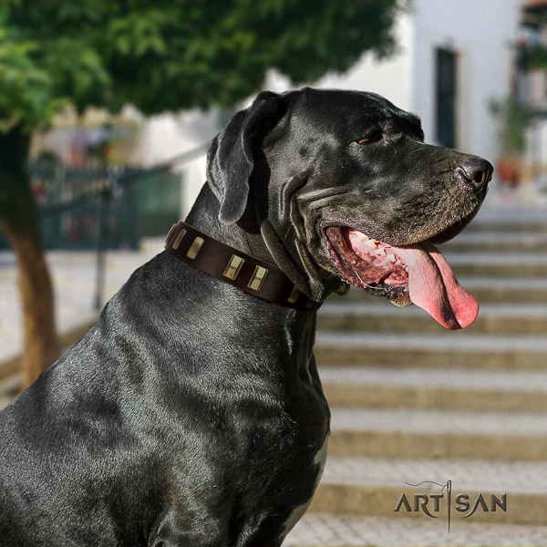 Great Dane walking leather collar with studs for your four-legged friend