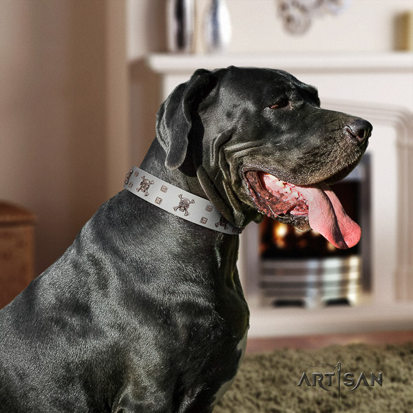 Great Dane fancy walking leather collar with adornments for your pet