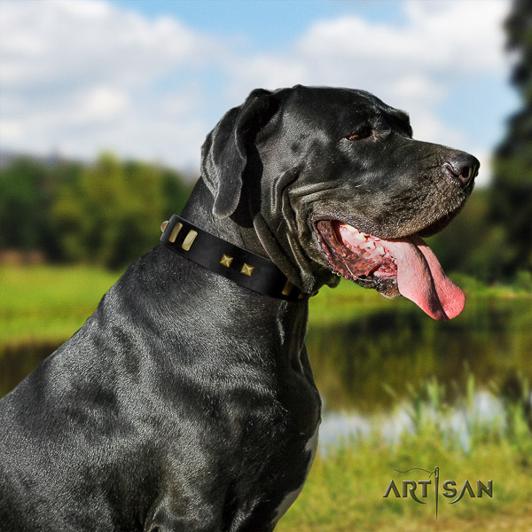 Great Dane basic training full grain natural leather collar with decorations for your canine