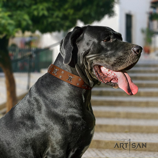 Great Dane walking leather collar with decorations for your canine