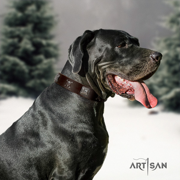 Great Dane easy wearing full grain leather collar with studs for your four-legged friend