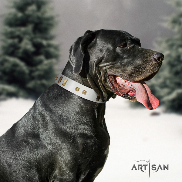 Great Dane fancy walking genuine leather collar with adornments for your dog