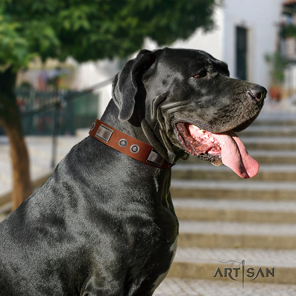 Great Dane adjustable collar with exquisite adornments for your doggie