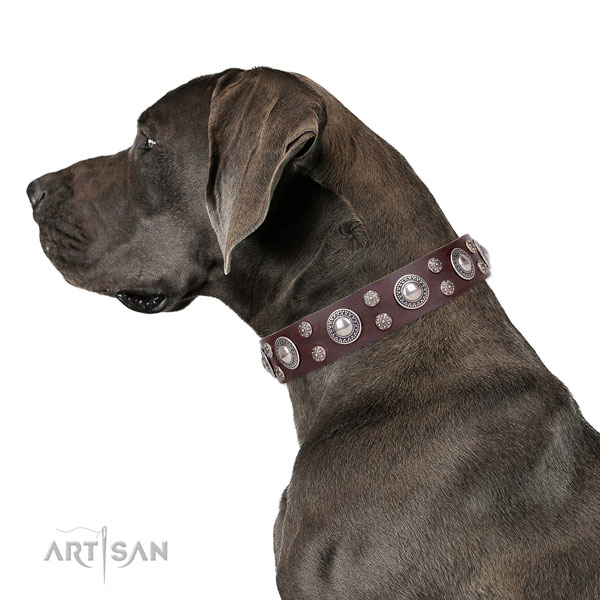 Great Dane embellished full grain natural leather dog collar for easy wearing