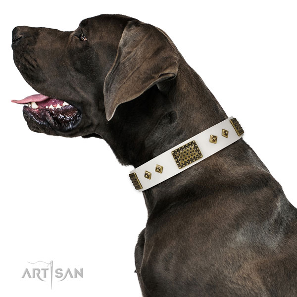 Great Dane fine quality full grain natural leather dog collar for daily walking