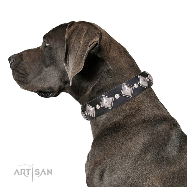 Great Dane stylish natural genuine leather dog collar for stylish walking