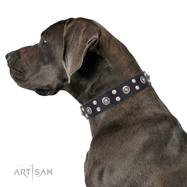 Great Dane unique natural genuine leather dog collar for stylish walking
