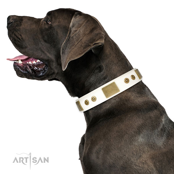 Great Dane convenient genuine leather dog collar for daily walking
