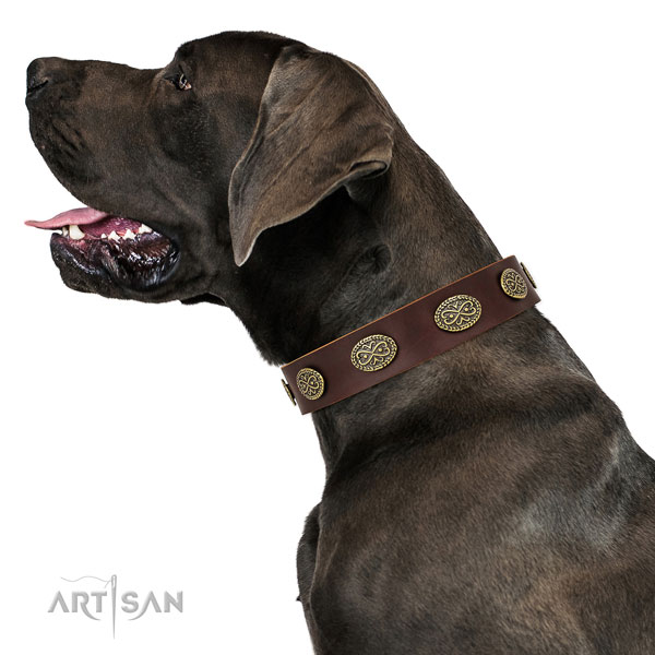 Great Dane adjustable leather dog collar for daily use