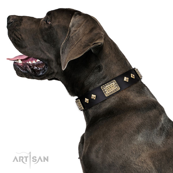 Great Dane stylish full grain natural leather dog collar for comfortable wearing