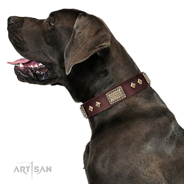 Great Dane easy adjustable genuine leather dog collar for daily walking