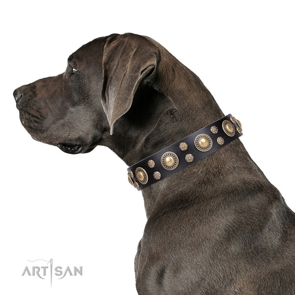 Great Dane exceptional full grain leather dog collar for daily use